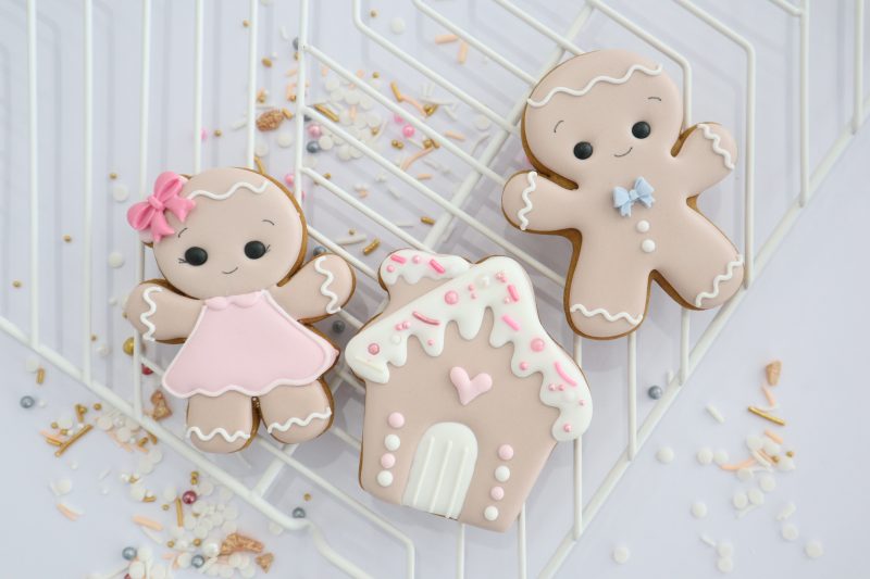 Meet the Gingies - Express royal icing beginner class