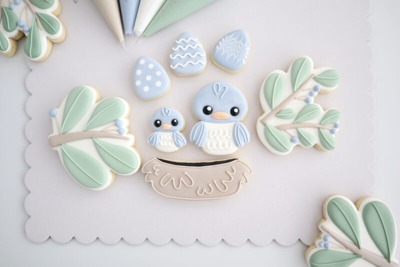 Build a Nest 5 hour Comprehensive Royal icing Class