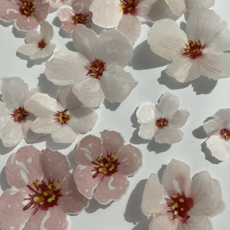 Edible Wafer Pre-cut Cherry Blossom Flowers